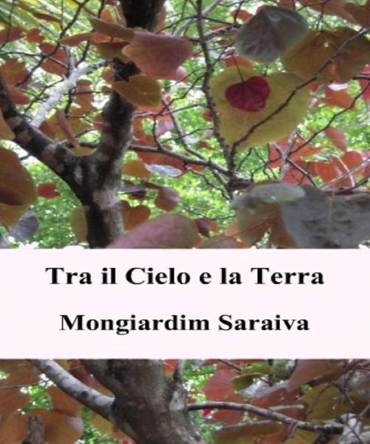 Tra il Cielo e la Terra - Mongiardim Saraiva - ebook