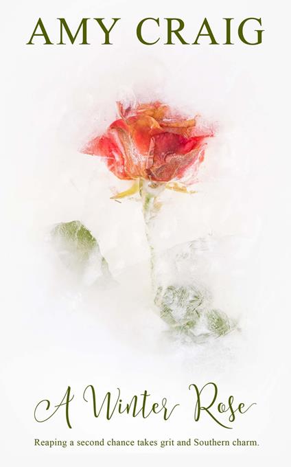 A Winter Rose