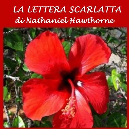 Lettera scarlatta, La