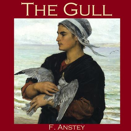 Gull, The
