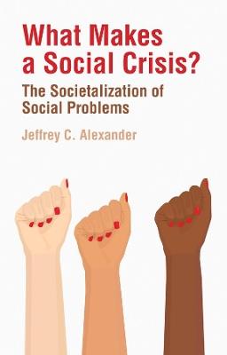 What Makes a Social Crisis?: The Societalization of Social Problems - Jeffrey C. Alexander - cover