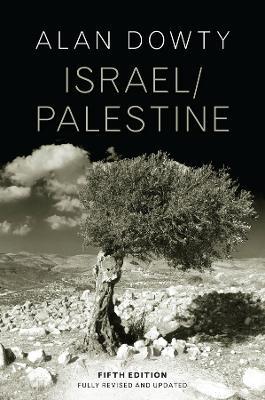 Israel / Palestine - Alan Dowty - cover