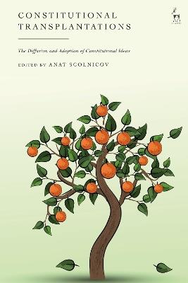 Constitutional Transplantations: The Diffusion and Adoption of Constitutional Ideas - cover