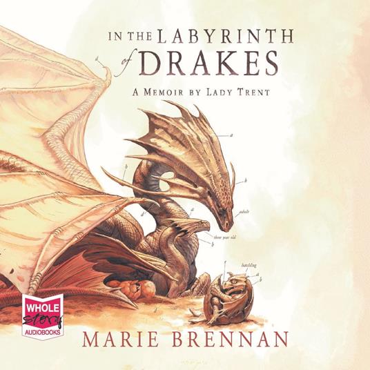 In the Labyrinth of Drakes