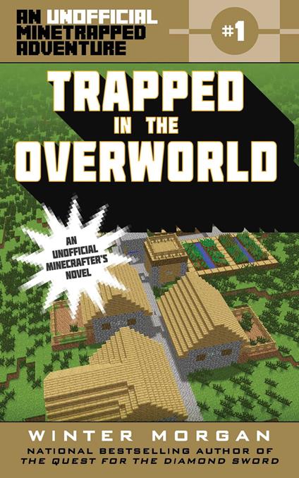 Trapped in the Overworld - Winter Morgan - ebook