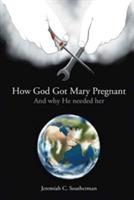 How God Got Mary Pregnant: And why He needed her - Jeremiah C Southerman - cover