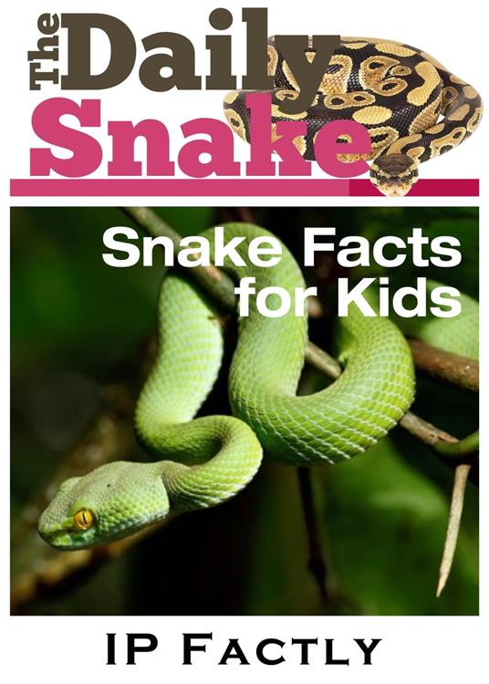 The Daily Snake - Facts for Kids - Great Images in a Newspaper-Style - Snake Books for Children - IP Factly - ebook