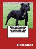 Diviertete Formacion Y Comprension De Su Staffordshire Bull Terrier Perrito Y De