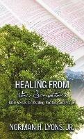 Healing From the Scriptures: Bible Verses for Reading, Reciting and Prayer - Norman H Lyons - cover