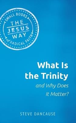 What Is the Trinity and Why Does It Matter? - Steve Dancause - cover
