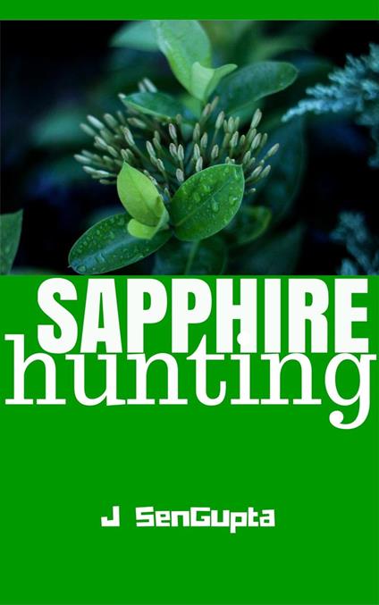 Sapphire Hunting - J SenGupta - ebook