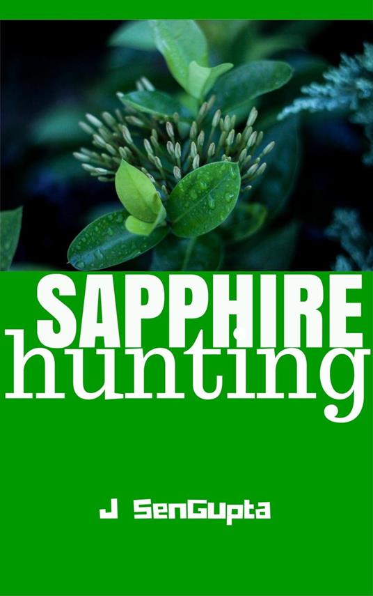 Sapphire Hunting - J SenGupta - ebook