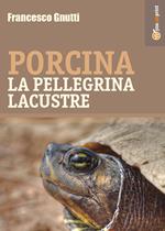 Porcina la pellegrina lacustre