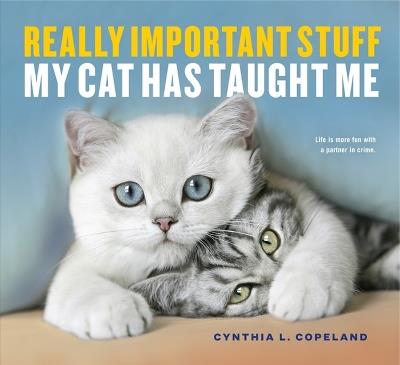Really Important Stuff My Cat Has Taught Me - Cynthia L. Copeland - cover