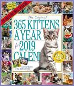 2019 365 Kittens a Year Picture-A-Day Wall Calendar