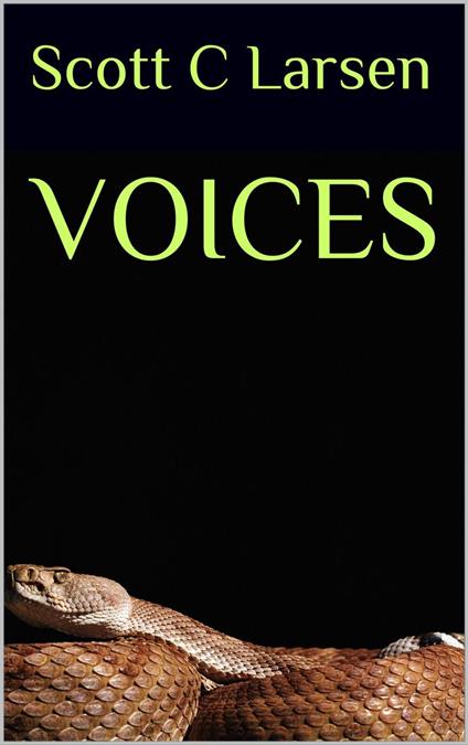 Voices - Scott C Larsen - ebook
