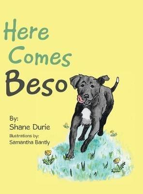 Here Comes Beso - Shane Durie - cover