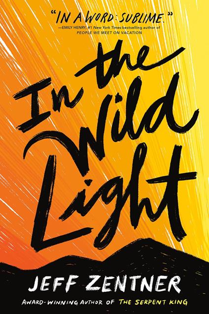 In the Wild Light - Jeff Zentner - ebook