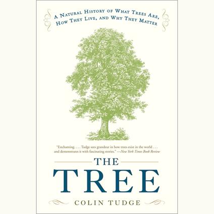 The Tree
