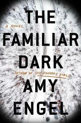 The Familiar Dark: A Novel - Amy Engel - cover