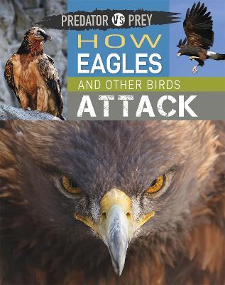 Predator vs Prey: How Eagles and other Birds Attack - Tim Harris - cover
