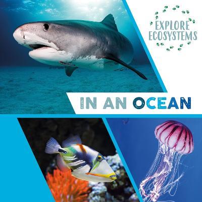Explore Ecosystems: In an Ocean - Sarah Ridley - cover