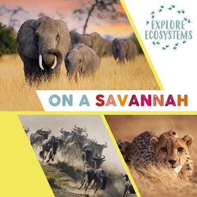 Explore Ecosystems: On a Savannah - Sarah Ridley - cover