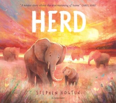HERD - Stephen Hogtun - cover