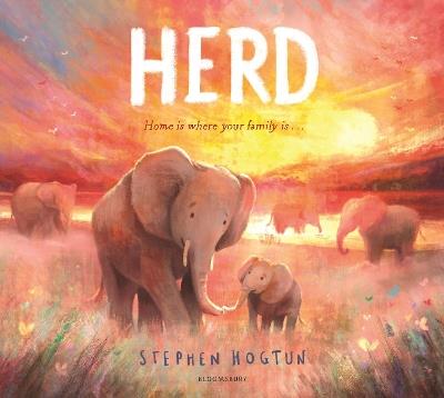 HERD - Stephen Hogtun - cover