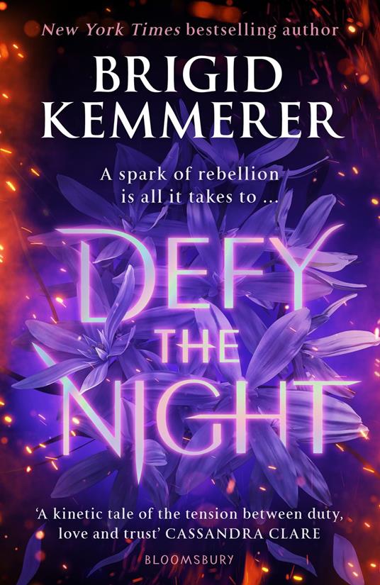 Defy the Night - Brigid Kemmerer - ebook