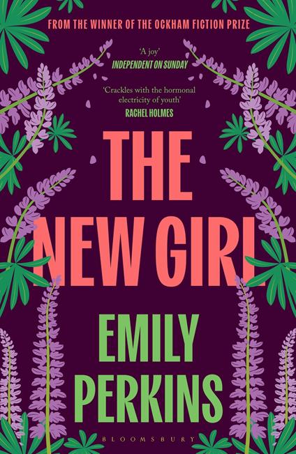 The New Girl - Perkins Emily - ebook