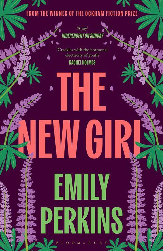 The New Girl - Perkins Emily - ebook