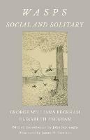 Wasps - Social and Solitary; With an Introduction by John Burroughs - Illustrated by James H. Emerton - George Williams Peckham,Elizabeth Peckham - cover