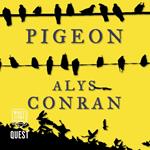 Pigeon