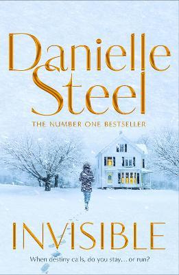Invisible - Danielle Steel - cover
