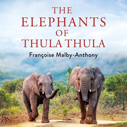The Elephants of Thula Thula