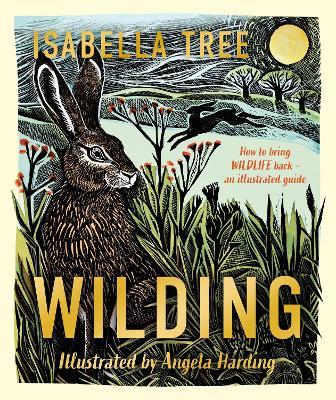 Wilding: How to Bring Wildlife Back - an Illustrated Guide - Isabella Tree - cover