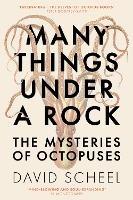 Many Things Under a Rock: The ‘mind-blowing’ book that reveals the mysteries of the octopus