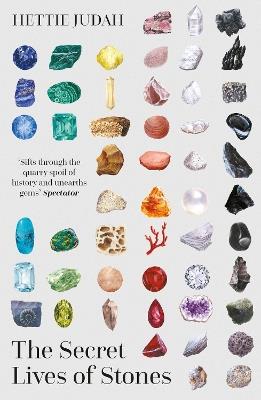 The Secret Lives of Stones: 'A real cabinet of curiosities' SUNDAY TIMES - Hettie Judah - cover