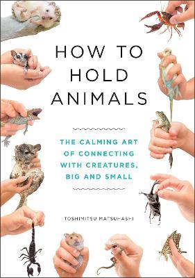 How to Hold Animals - Toshimitsu Matsuhashi - cover