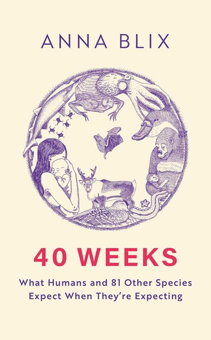 40 Weeks