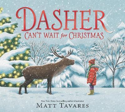 Dasher Can't Wait for Christmas: The second story in the New York Times bestselling Dasher series, full of festive warmth and charm to share with children on Christmas Eve, in the spirit of giving. Ages 3, 4, 5, 6 - Matt Tavares - cover