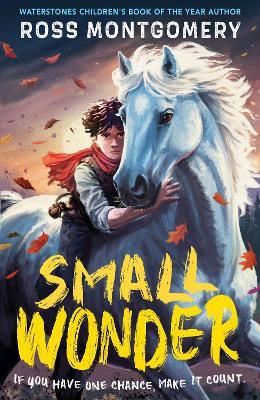Small Wonder: The brand-new exciting adventure for 9-12-year-olds from the award-winning, bestselling author of I Am Rebel - Ross Montgomery - cover