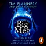 Big Meg