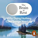 The Brain at Rest