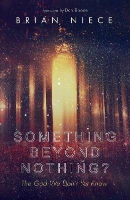 Something Beyond Nothing? - Brian Niece - cover