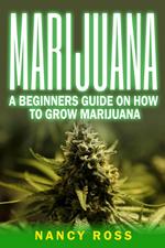 Marijuana: A Beginners Guide On How To Grow Marijuana