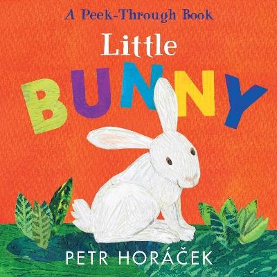 Little Bunny - Petr Horacek - cover