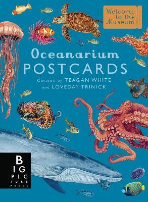 Oceanarium Postcard Box Set - Loveday Trinick - cover