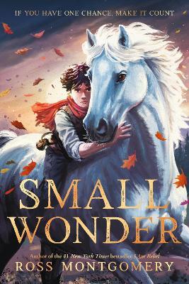 Small Wonder - Ross Montgomery - cover